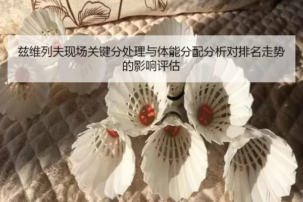 zi-wei-lie-fu-xian-chang-guan-jian-fen-chu-li-yu-ti-neng-fen-pei-fen-xi-dui-pai-ming-zou-shi-de-ying-xiang-ping-gu-2-849.jpg